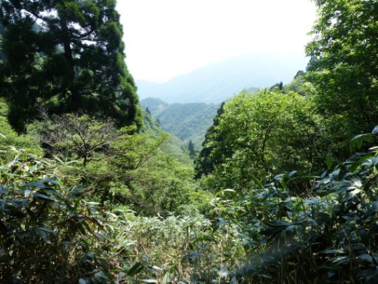 岳峠