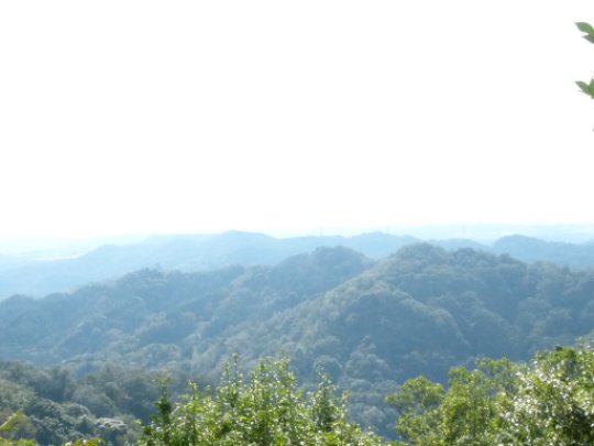 武田道展望店