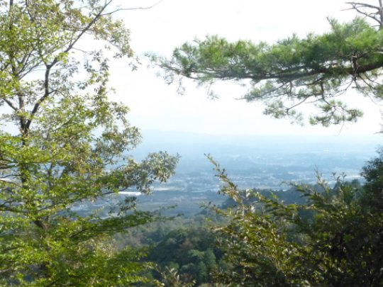画像21