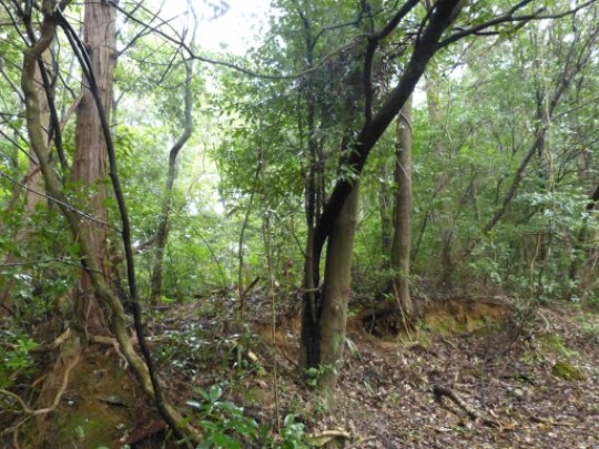 東尾根登山口