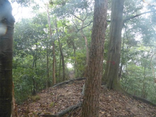 画像6