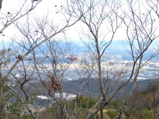 画像14