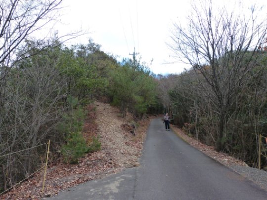 画像30