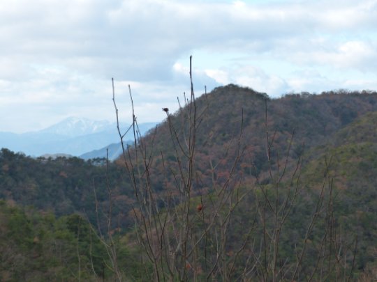 画像38