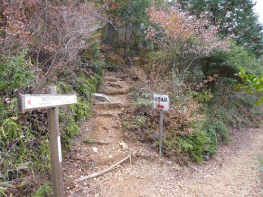 多賀坂峠 