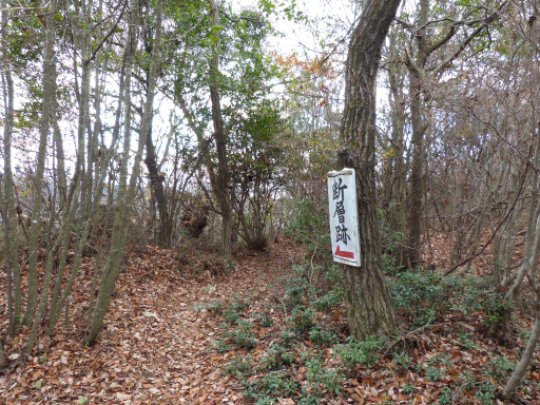 画像51