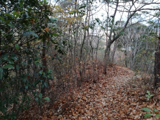 画像59