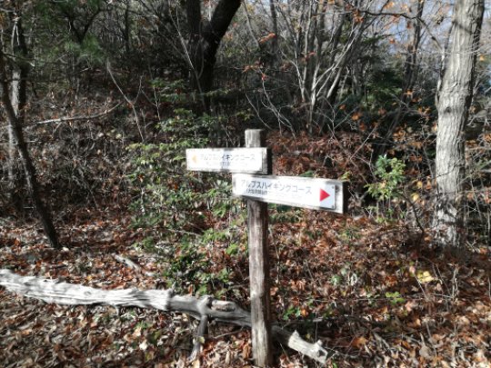 岩坂峠