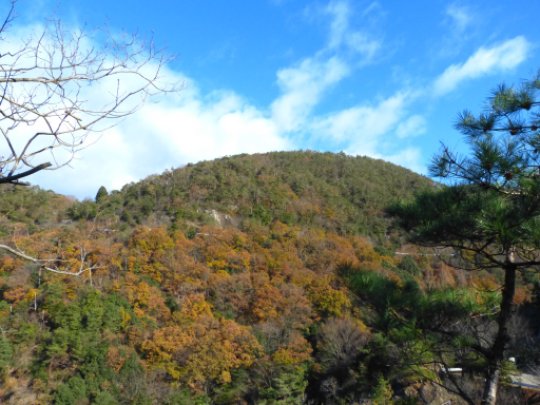 画像6