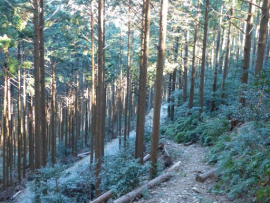 画像21