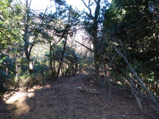 画像33