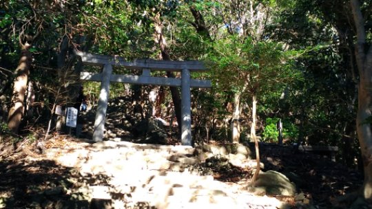 画像54