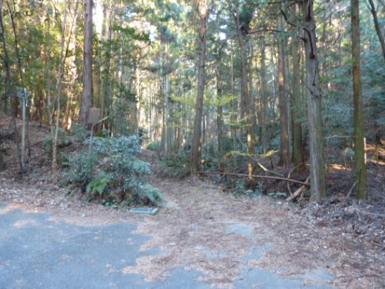 画像8