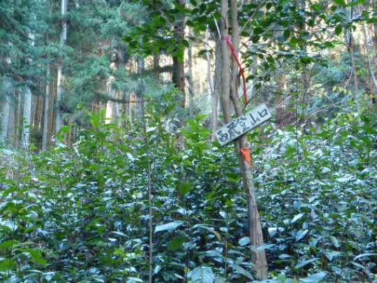 西蔵登山口
