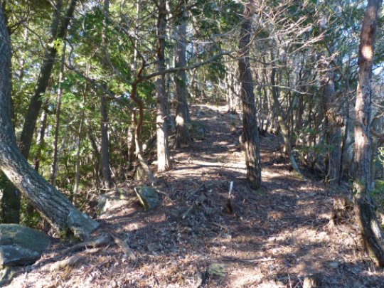 画像16