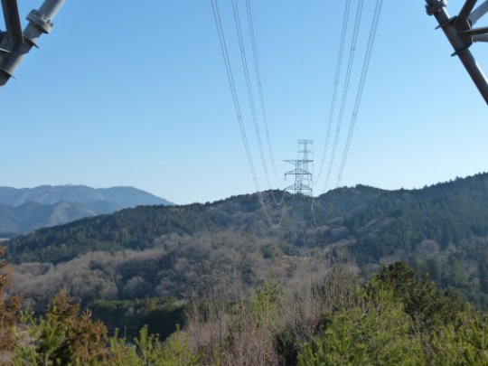 画像24