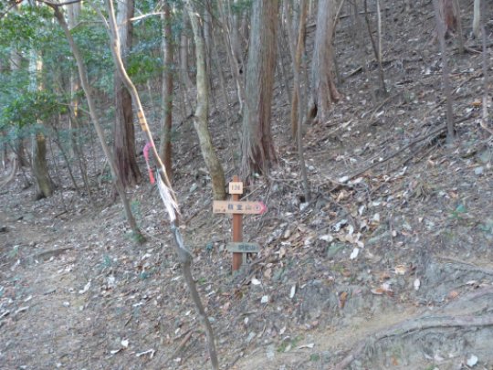 画像29