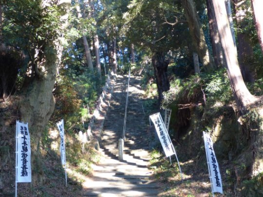 画像7