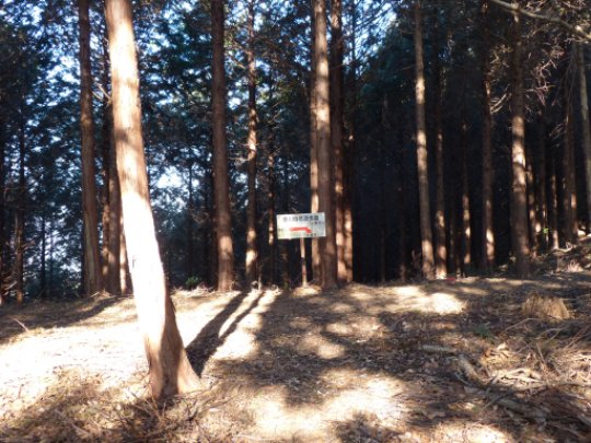 画像13