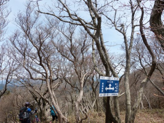 キノコ岩分岐 