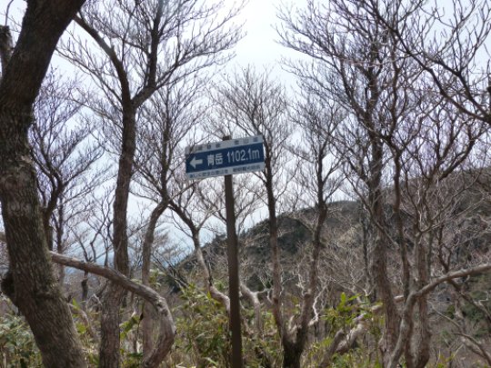 青岳 