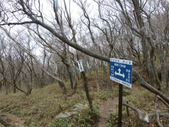 画像59