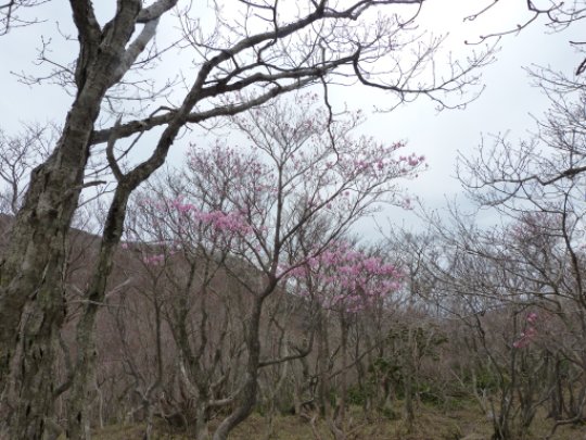 画像60