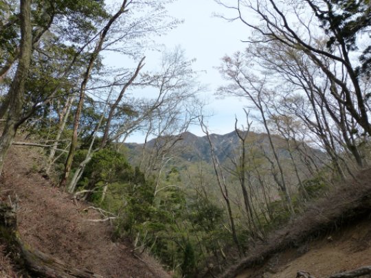 画像8