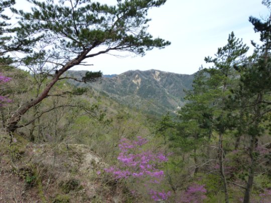 画像10