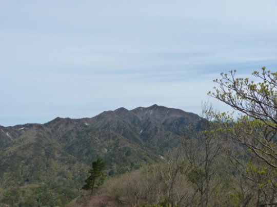 画像12