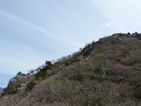 画像19