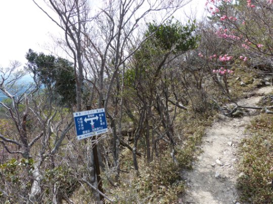 画像20