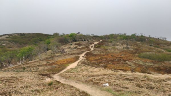 画像28