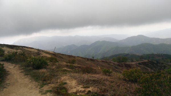 画像29