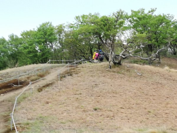 画像35
