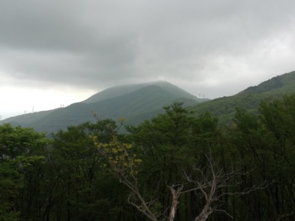 画像39