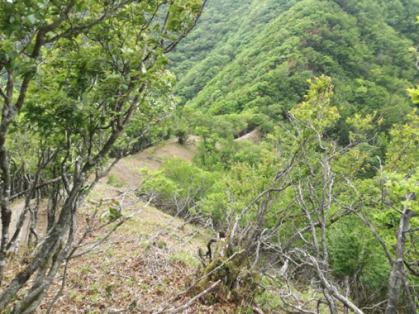 画像41