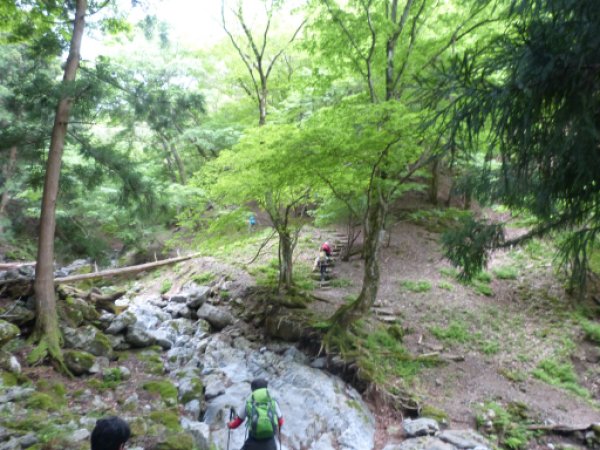 画像7