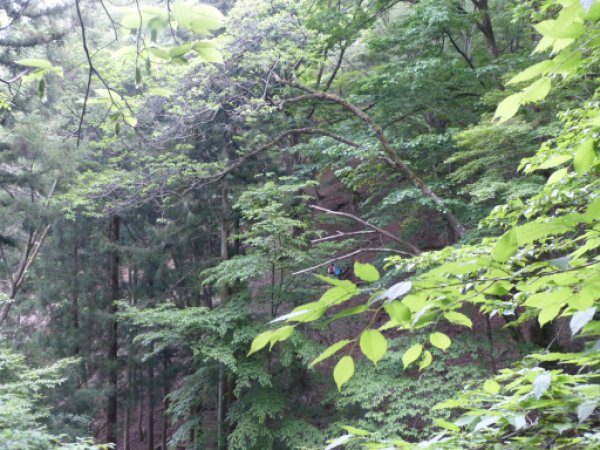 画像8