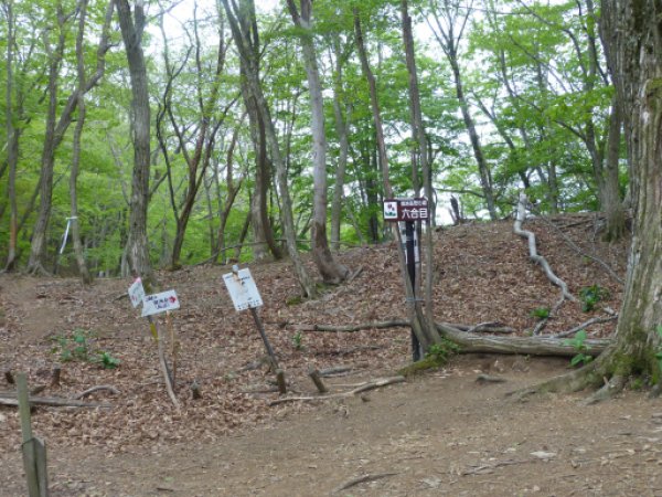 カタクリ峠