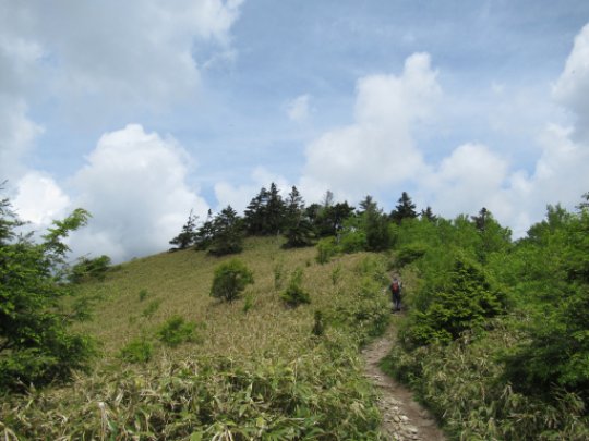 画像17