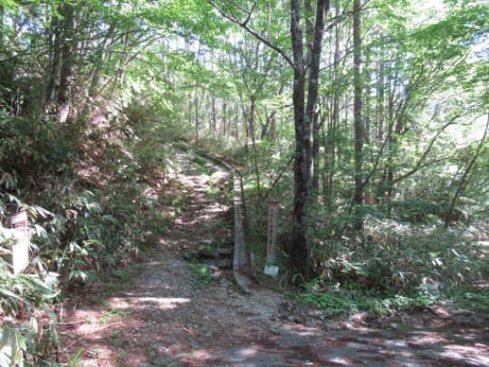 大川入山登山口