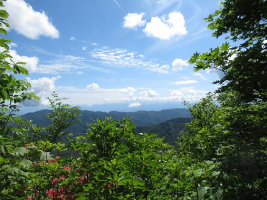 画像7