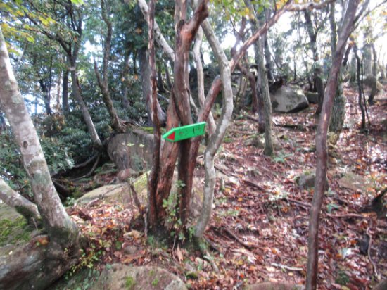 画像19