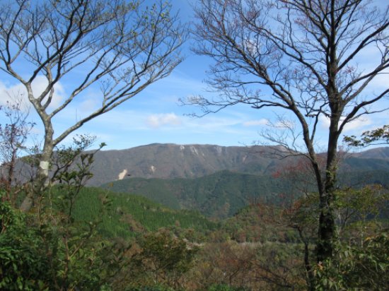 画像31