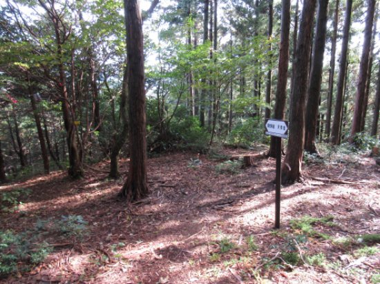 画像35