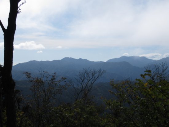画像12