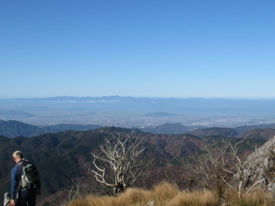 登山道