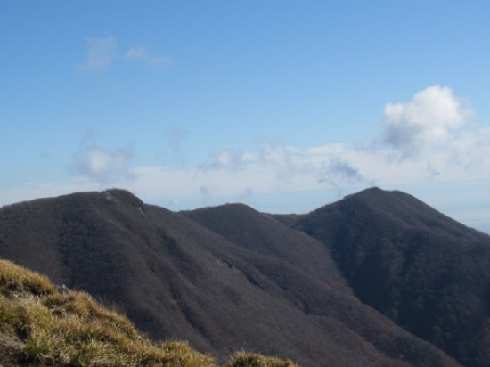 登山道