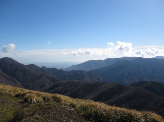 登山道
